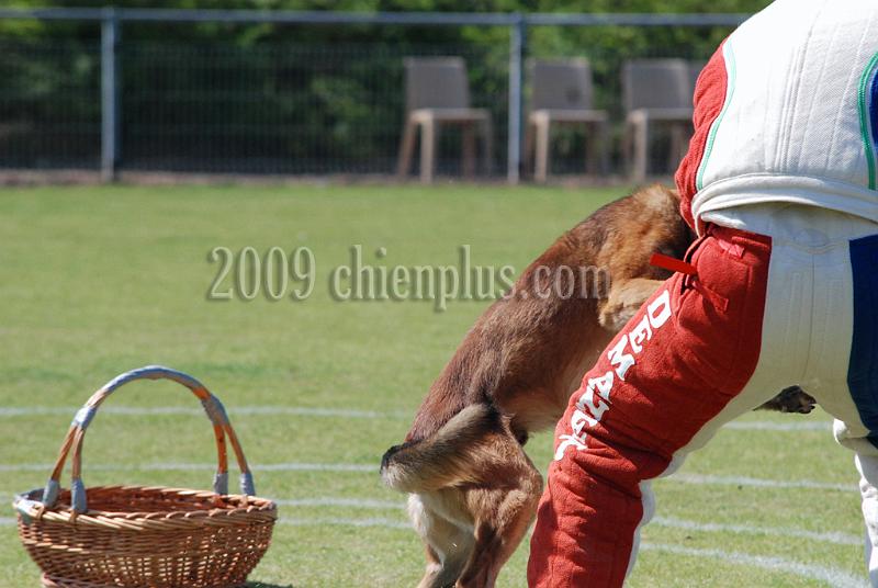 3 EME SELECTIF 2009 GRANDE SYNTHE 185.jpg